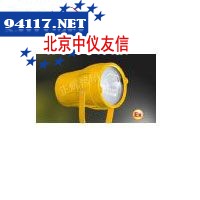 BTW6216 高亮度防爆投光灯